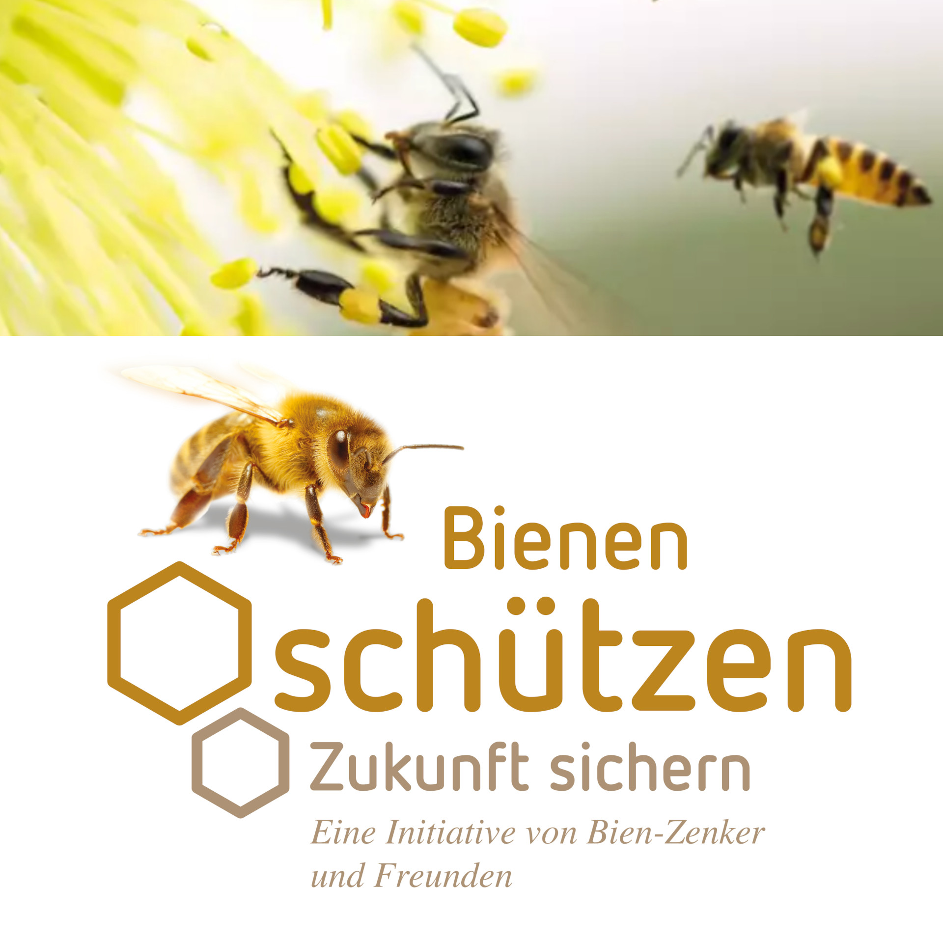 Natur im Kreislauf: Der Bienenstock erwacht auf dem Bien-Zenker Werksgelände
