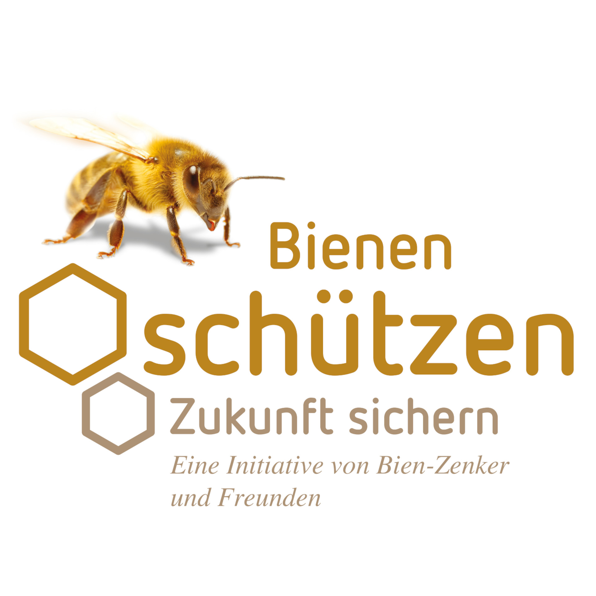 Bienen sind für Bien-Zenker Vorbild bei der Fertighaus-Fertigung