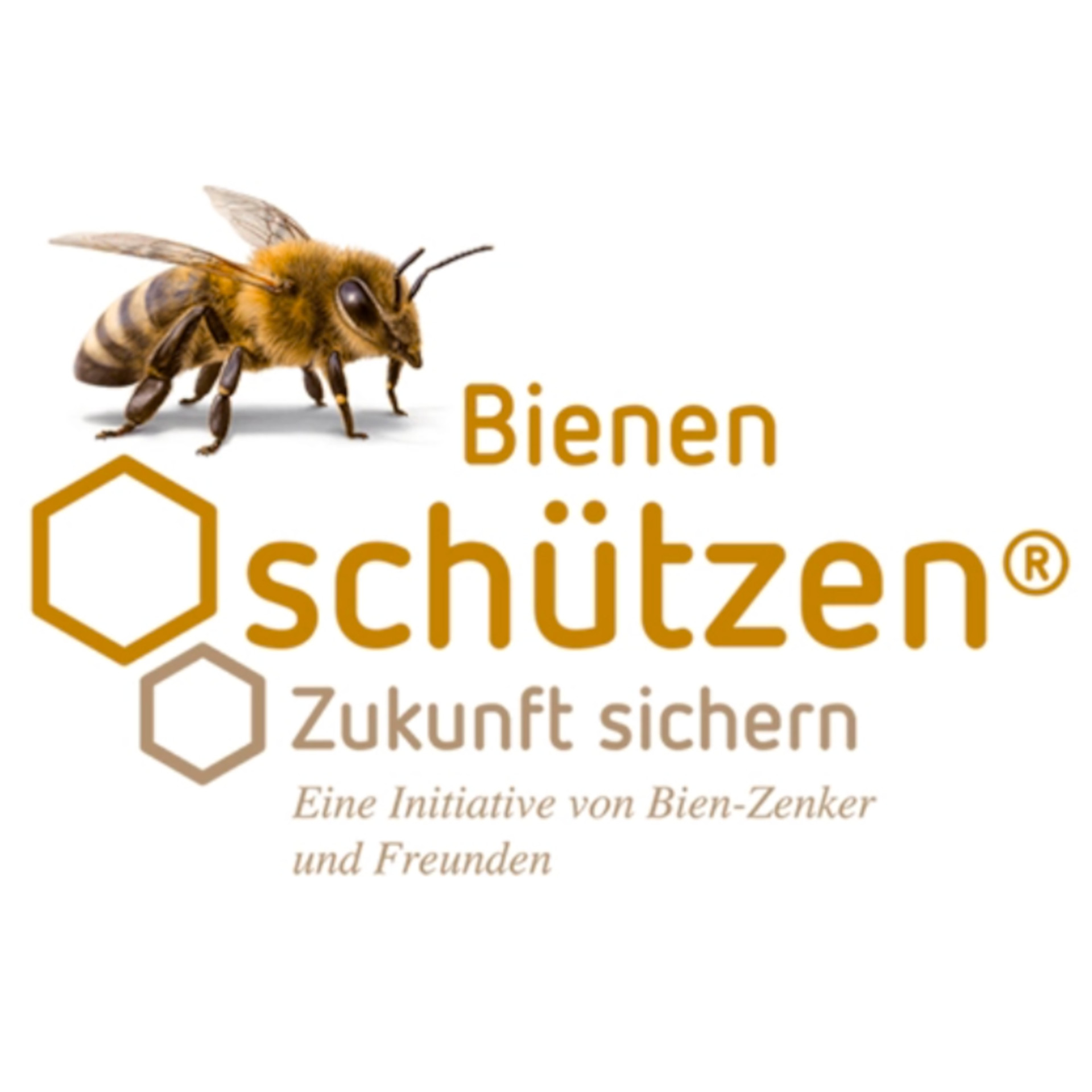 Welttag der Bienen – Bien-Zenker setzt sich für Artenvielfalt und Nachhaltigkeit ein
